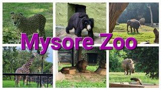 Mysore Zoo|| Places to visit in Mysore|| Animals and Birds tour || Most visited Zoo in India || vlog