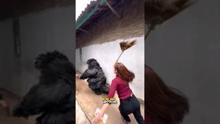 GRANDONG dikejar cewek cantik bawa sapu gara-gara suka iseng