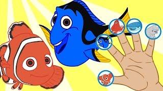  FINDING DORY  Finger Family song | Nursery Rhymes