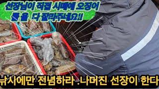제주도 갑오징어낚시 시작해도 됩니다.!!(제주도 왔어호)