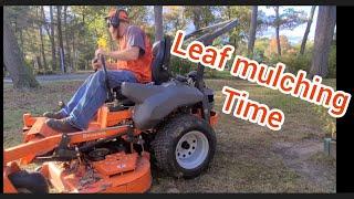 October leaf & grasscutting big yard clean up mulching them up