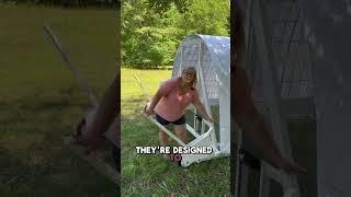 Game changer for chicken keepers ⬇️