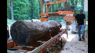 Black Walnut on the sawmill.