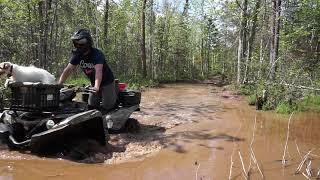 Maritimer ATV: Quick Clip - Grizzly in Deep Water w/My Dog.