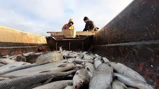 рыбный промысел у Восточно-Сибирского моря