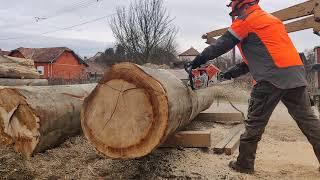 Stihl MS 500 i with 36" bar.