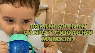 Bolani qanday sutdan chiqarish kerak?