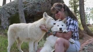 COLORADO WOLF AND WILDLIFE CENTER 30