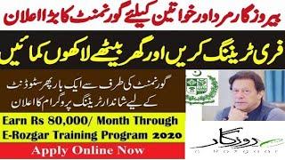 How to earn online in Pakistan || How to apply in E rozgar training Program free courses ,Ilmi Dunya