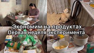 Экономия на продуктах. Живем на 20000 рублей в месяц. Первая неделя эксперимента.