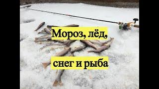 Мороз, лёд, снег и рыба