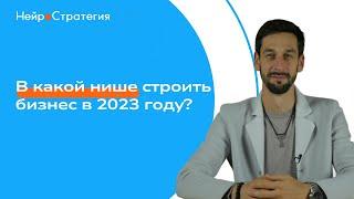 В КАКОЙ НИШЕ СТРОИТЬ БИЗНЕС В 2023?