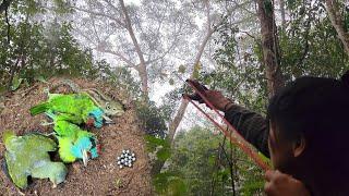 สาวดอย ยิงนกกินผลไม้ที่ตื่นตาตื่นใจ Amazing bird shooting