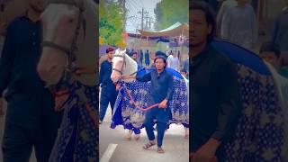 Zuljinah Nawab Badshah #zuljanah #shortvideo #viralvideo #youtubeshorts