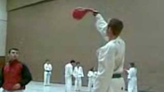 sanjaboi Taekwondo-Showkick :gesprungener Paende