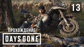 Железный Майк • Days Gone • #13