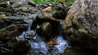 Little stream in the rocky forest. 8 hours of relaxing stream sounds