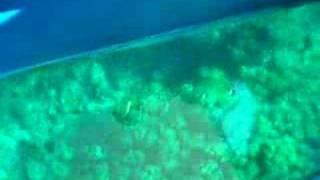 glassboat 1