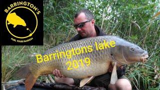 Barringtons lake - The review - Carp fishing in France