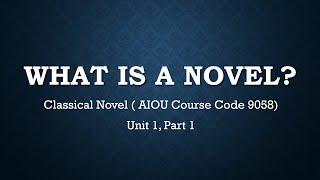 What is a Novel?