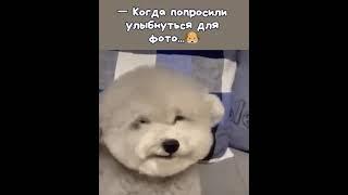 суратга тушиш учун Кул деганда