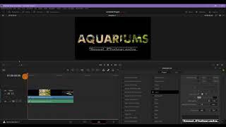 Quick tip: Easy!! Davinci resolve  add watermark