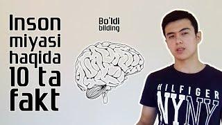 Inson miyasi haqida 10 ta fakt (Bo'ldi bilding #1)