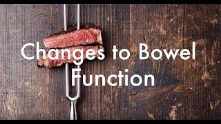 Dr. Shawn Baker MD - Carnivore Bowel Function