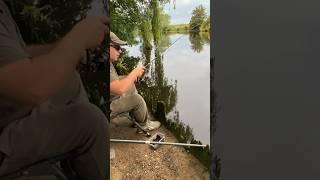 Drop shotting for perch and got a big roach