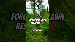 Lakefront Lawn Transformation That Took 2 Days! 