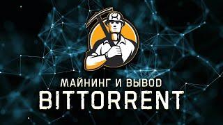 Майнинг Bittorrent и вывод из сайта unmineable на биржу Binance #2