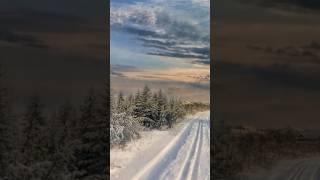 . Vivaldi - «The Four Seasons - Winter": I. Allegro non molto
