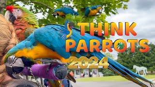 Think Parrots Show 2024 || Mikey & Mia