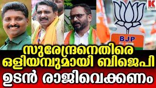 സംസ്ഥാന അധ്യക്ഷൻ നേതൃത്വം നൽകിയിട്ടും പാലക്കാട് വോട്ട് ചോർന്നു, വിമർശിച്ച് ബിജെപി