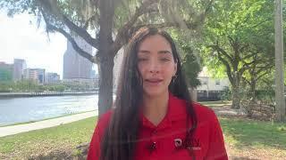 Are There Affordable Activities To Do In Tampa For Fun?