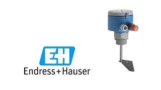 Флажковый датчик предельного уровня E+H Soliswitch FTE30 / Endress+Hauser / Элта ЛТД