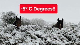 The Wild Side of Irish Winter: Blizzard in the Wicklow Mountains