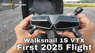 CaddxFPV Walksnail 1S VTX on Flywoo Firefly 1S // First Dive of 2025