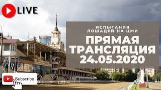 24.05.2020. Прямая трансляция с ЦМИ.