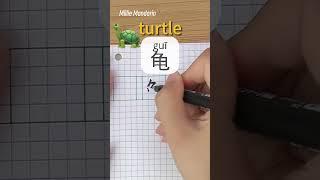 Gui: TORTOISE⎮Write Chinese⎮Calligraphy⎮Handwriting⎮Hanzi⎮Learn Chinese Character