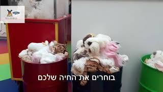 דובידו פקטורי מפעל למילוי בובות פרווה לילדים ולא רק:  Dubido Factory