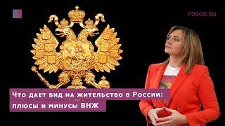 Что дает вид на жительство в России: плюсы и минусы ВНЖ