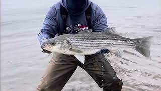 New Jersey/PA Striped Bass Spring Run