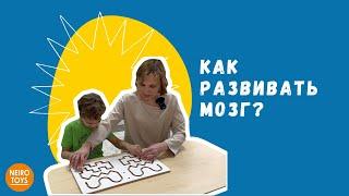 Развитие мозга: как ускорить и улучшить процесс