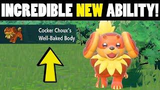 Why You Should Use Dachsbun!