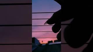 ZAYN - Dusk Till Dawn ft. Sia ( Fingerstyle Guitar Cover )