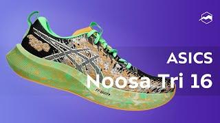 Кроссовки ASICS Noosa Tri 16. Обзор