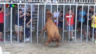 Desafio Fernando Mansilla vs Alba Atenea - Benicasim (29-09-2019) Bous Al Carrer [Toros FJGNtv]