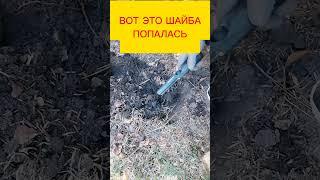 Интересный коп#монеты#коп#находки#металлоискатель#coins#metaldetecting #