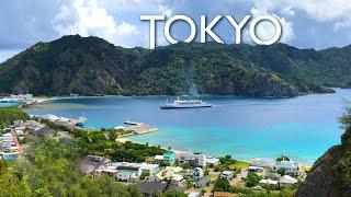 Tokyo's Hidden Pacific Island | OGASAWARA  ONLY in JAPAN